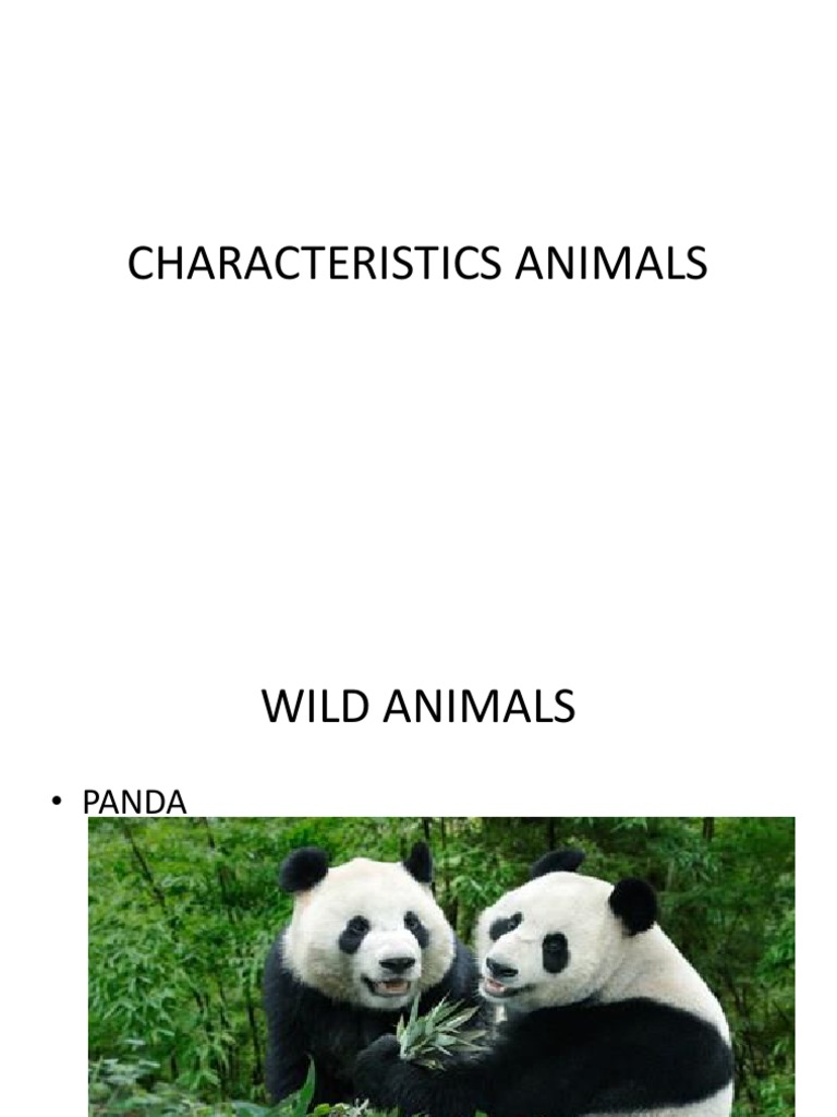Animal Characteristics Guide | PDF