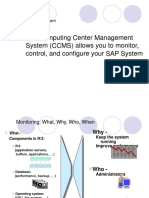 The Computing Center Management System (CCMS) Allows You To Monitor, Control, and Configure Your SAP System