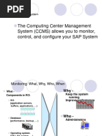 The Computing Center Management System (CCMS) Allows You To Monitor, Control, and Configure Your SAP System