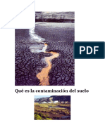 contaminacion de los suelos.docx