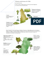 Plantas Autóctonas de Chile