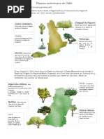 Plantas Nativas del Norte de Chile | PDF | Hogar, jardinería y bricolaje