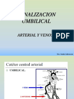 Canalizacion Umbilical