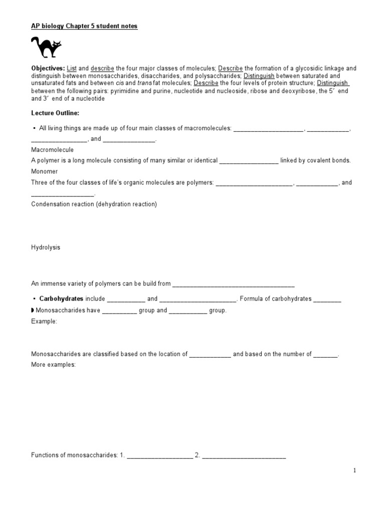AP Biology Chapter 5 Notes on Macromolecules | PDF | Lipid | Nucleic Acids