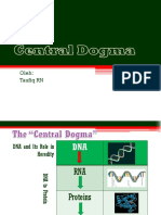 Central Dogma