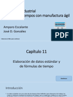 Cap11 PDF