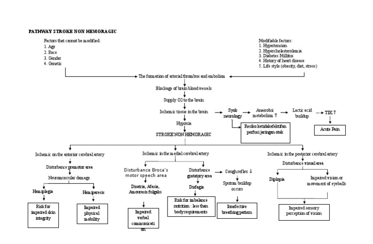 Non-Hemorrhagic Stroke Pathway Factors | PDF | Stroke | Ischemia