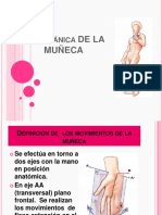 Biomecanica de La Muñeca