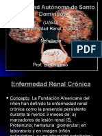 Enfermedad Renal Cronica