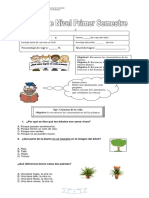 97688283-PRUEBA-DE-NIVEL-CIENCIAS.docx