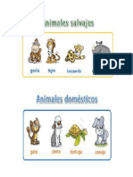 Animales Domesticos y Salvajes