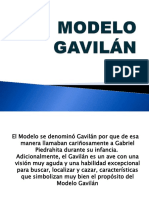 Modelo Gavilan PDF