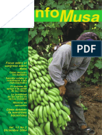 Infomusa__La_revista_internacional_sobre_bananos_y_plátanos_1031.pdf