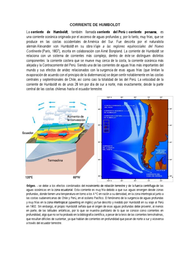 Corriente de Humboldt PDF Climatología Ciencias atmosféricas