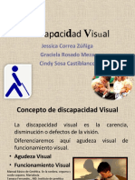 Discapacidad Visual 2