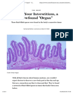 Interstitium