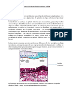 Metaplasia, atrofia y displasia epitelial