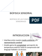 Biofisica Sensorial