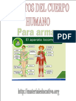 AparatosDelCuerpoHumanoME para armar.pdf