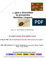 Origem e Diversidade de Procariotos e Archeas