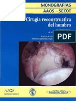 12-1 - 2009 Cirugía Reconstructiva Del Hombro PDF
