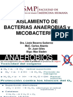 microbiologia 