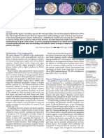 IgA Nep PDF