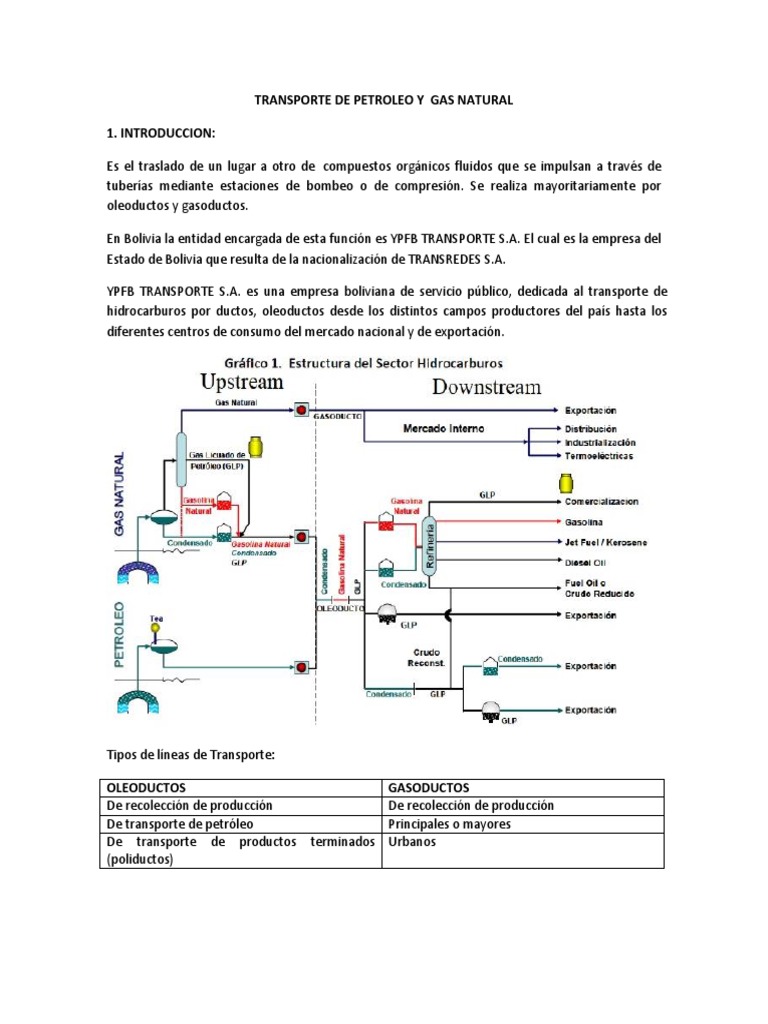 Transporte de Petroleo y Gas Natural LMT 100218 | PDF | Bolivia | Petróleo