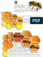 Infografia Abejas 