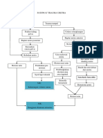 Pathway Trauma Uretra