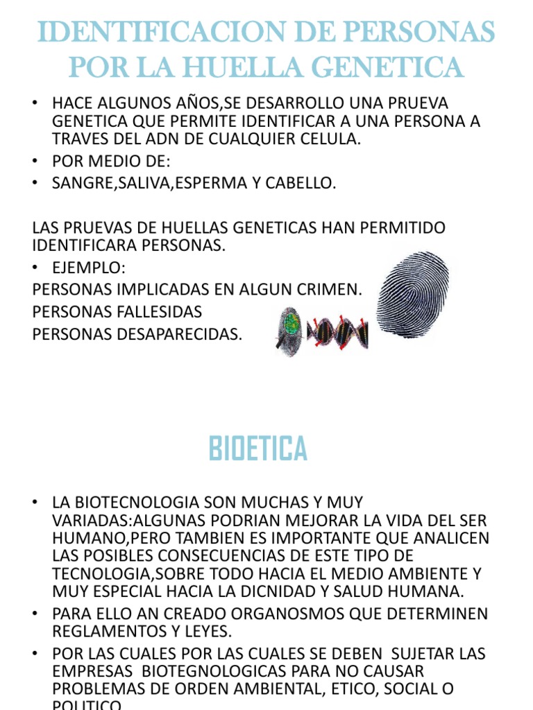 Identificacion de Personas Por La Huella PDF