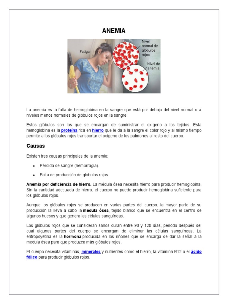Causas y Tratamientos de la Anemia | PDF | Glóbulo rojo | Anemia