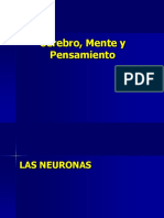 El Sistema Nervioso y el Pensamiento.pdf