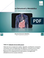 Tema-14.-Oxidacion-de-acidos-grasos.pdf