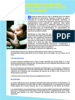 ALIMENTACION-0A6MESES.pdf
