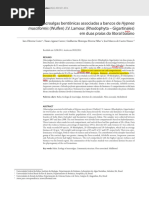A 2012, Costa, I. O.et Al. Macroalgas Bentônicas Associadas a Bancos de Hypnea Musciformis Gigartinales Em Duas Praias Do Litoral Baiano