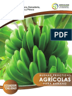 Banano PDF
