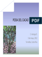 Poda Del Cacao - Curso Mag