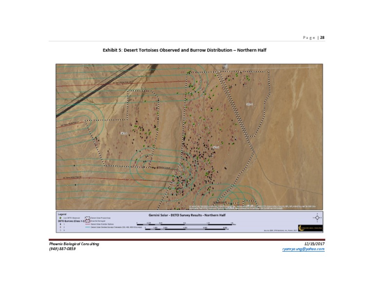 Desert Tortoise Burrow Map | PDF