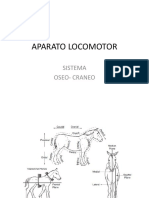 APARATO LOCOMOTOR-OSEO CRANEO.pptx