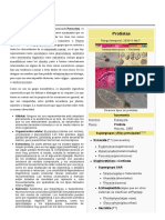 Protista.pdf