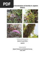 Survey and Enumeration of Orchids in Jajarkot District, Nepal