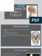 Problemas de Interpretacion de Matrices