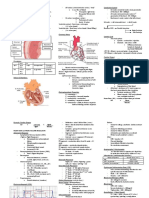 CARDIO NEURO.pdf