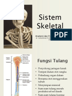 1 Anatomi & Fisiologi Manusia-Sistem Skeletal