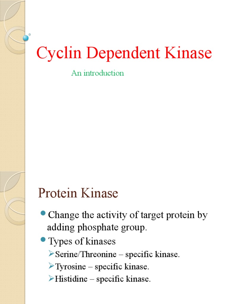 Overview of Cyclin Dependent Kinases | PDF | Cell Cycle | Cell Biology