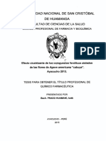 Tesis FAR421 - Pra PDF