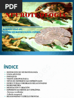 Neuroteologia