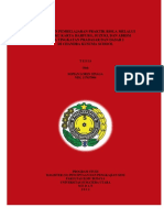 tesis-sopian-biola.pdf