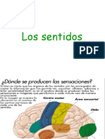 lossentidos2.ppt